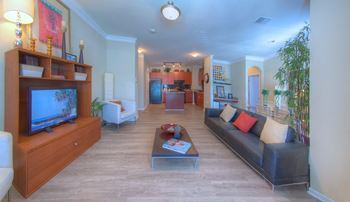 Huge Floor Plan 